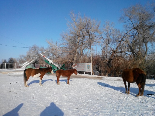 Кратко о городах Казахстана
