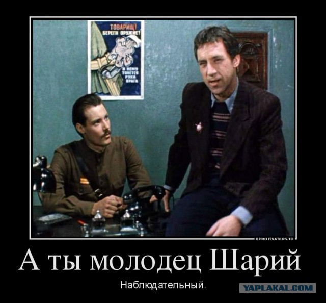 12 друзей Арсения