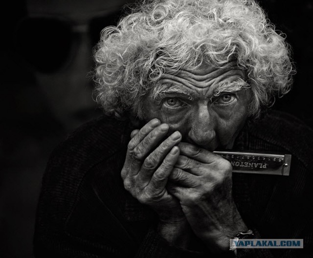 27 фотографий