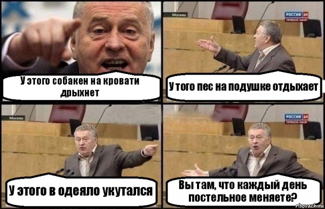 Мой собак: