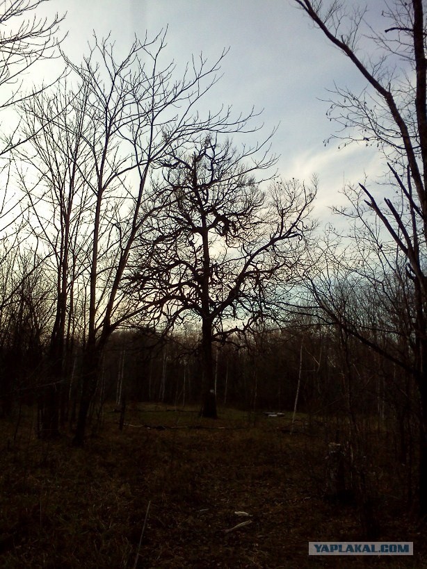 Место для шабаша?