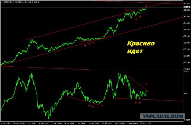Похоже началось