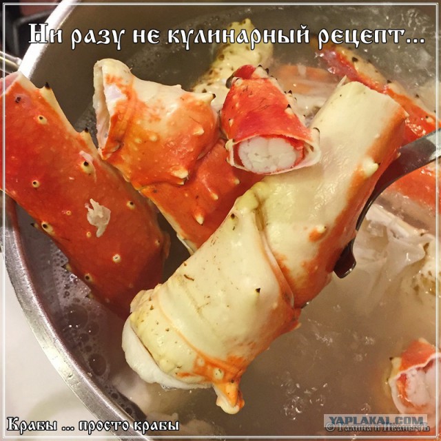 Крабы … просто крабы