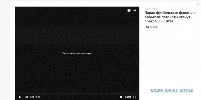 Coub`ы на четверг для поднятия настроения.