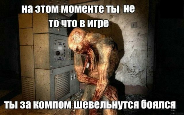 Фанатам игры С.Т.А.Л.К.Е.Р посвящается
