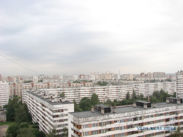Типичный Санкт-Петербург
