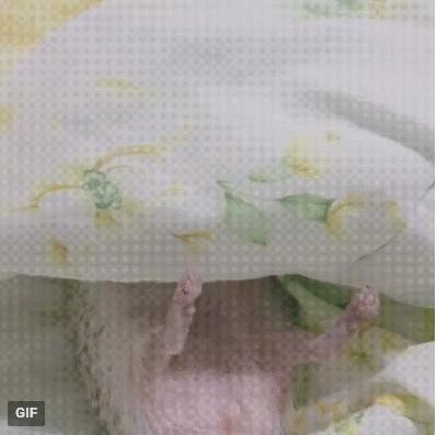 Когда жена пришла пьяненькая домой...