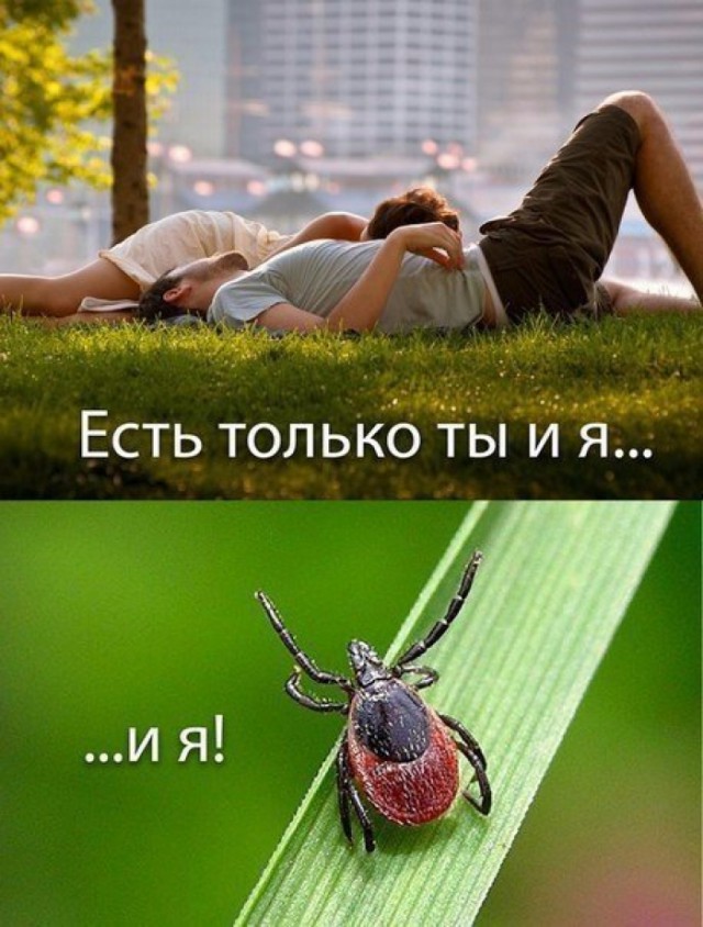 Подборка интересных и веселых картинок