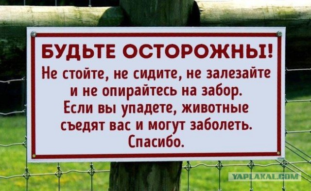 Что странные люди говорят в Инстаграм