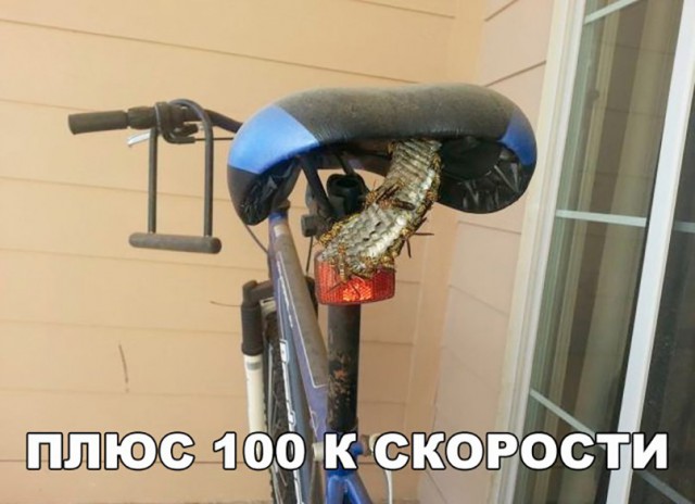 Подборка интересных и веселых картинок