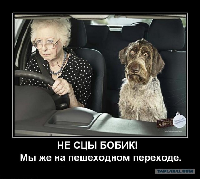 Пелотка