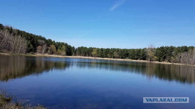 Просто Природа