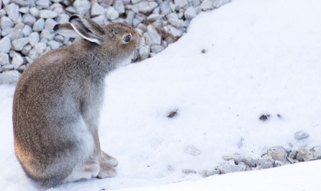 Просто Природа