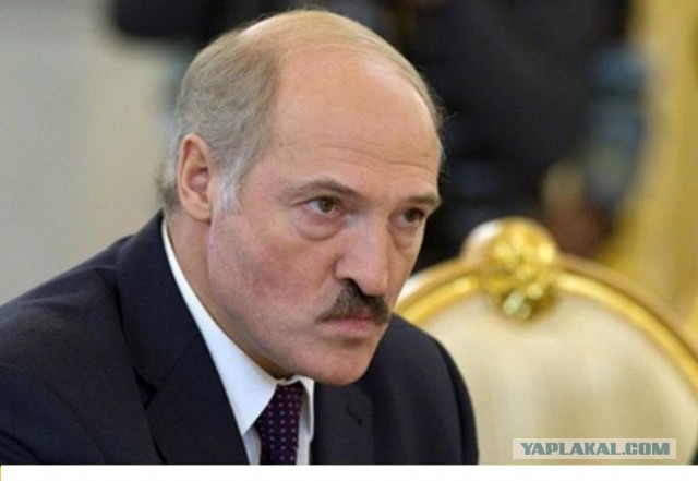 Заливной пирог с творогом