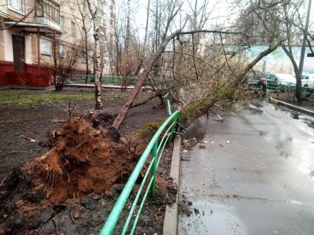 У кого чего сегодняшний ураганчик поломал?