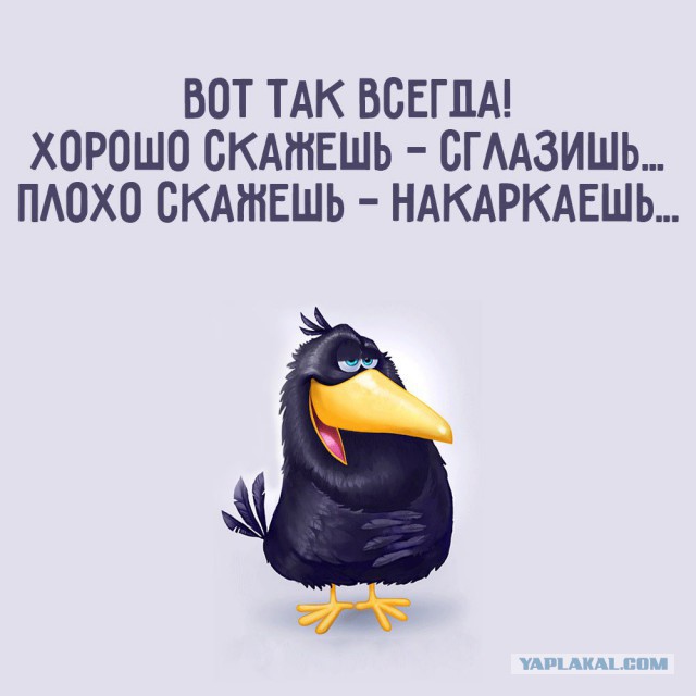 Накаркал