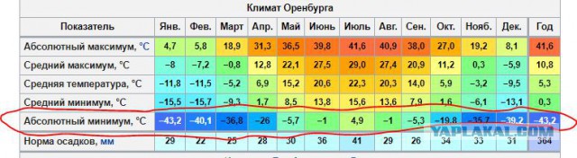 Продаётся дом в пригороде Оренбурга.