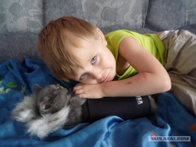 Котовторник 29.05.2012