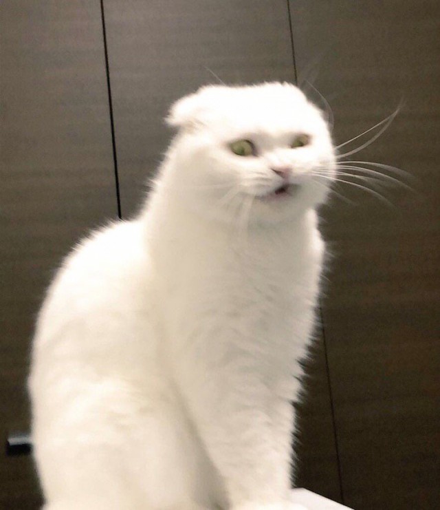 Немного милоты