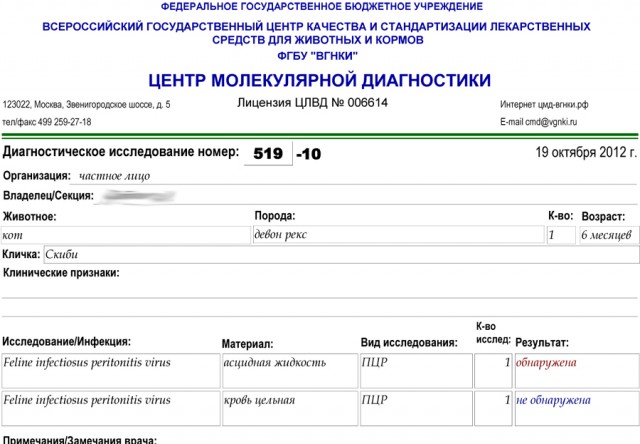 Дневник кота