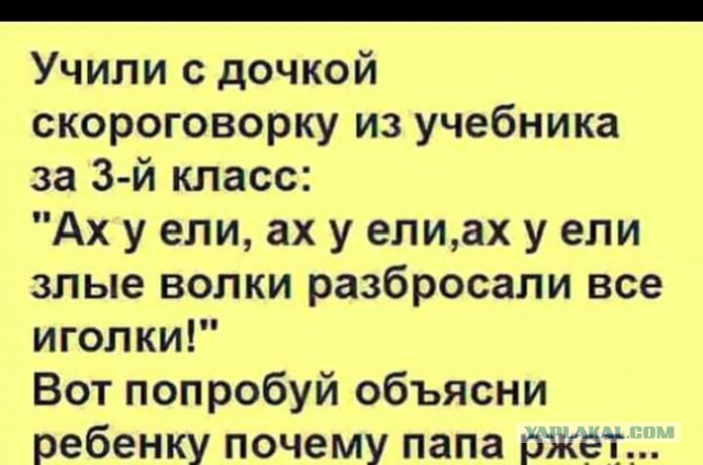 Анекдоты, соц-сети и картинки с надписями