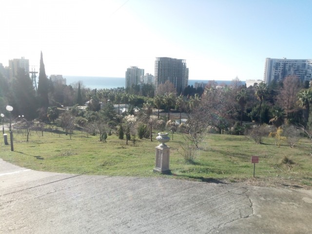 Январь в Геленджике. Фото
