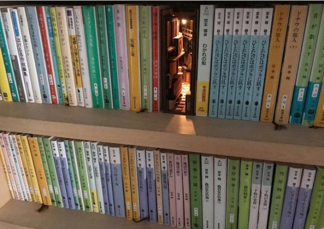 Вставки на книжных полках