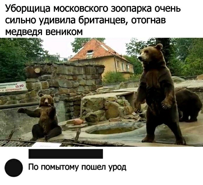 «Картинки разные нужны, картинки разные важны!»