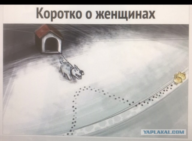 Мужчины научились жить одни. Женщин это сильно злит