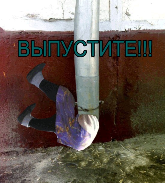 Фотожаба: Спрятался