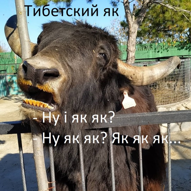 Картинки разные