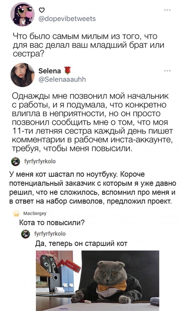 Сотня картинок для настроения 25.12.2020