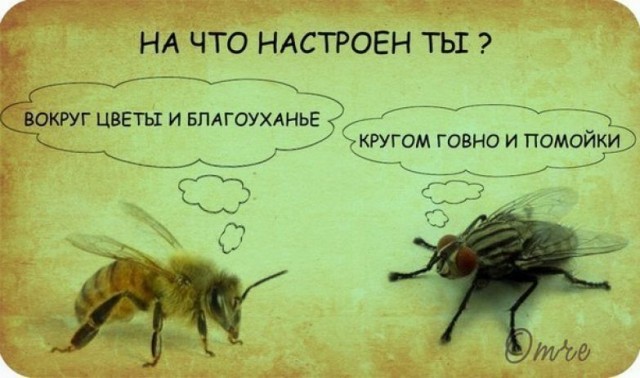 Малоизвестная комедия Рязанова «Привет, дуралеи» - откровенный провал, или шутка мастера?