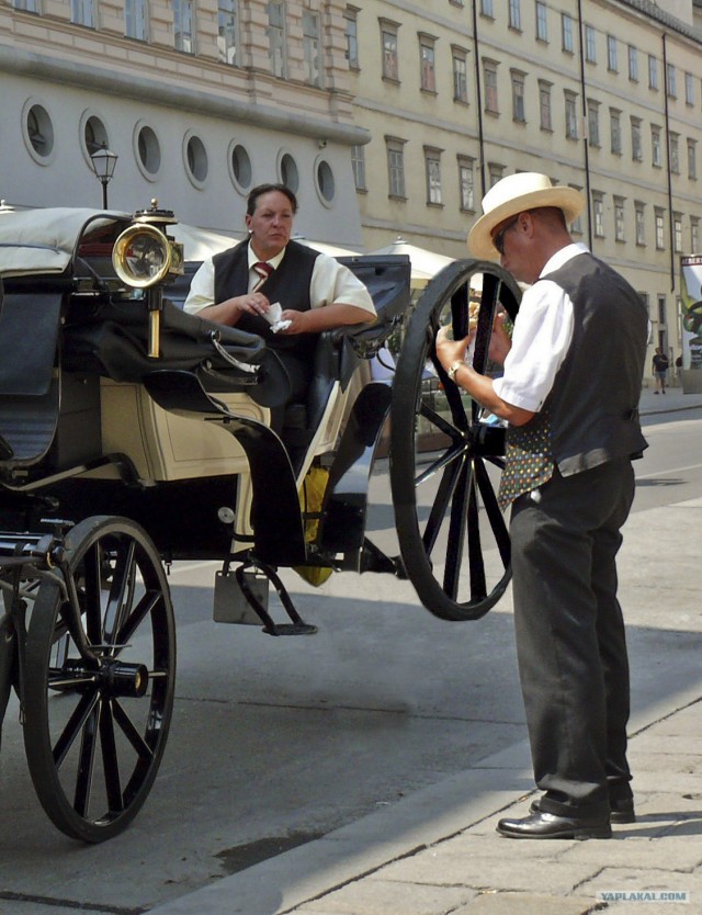 Фотожаба: бутерброд