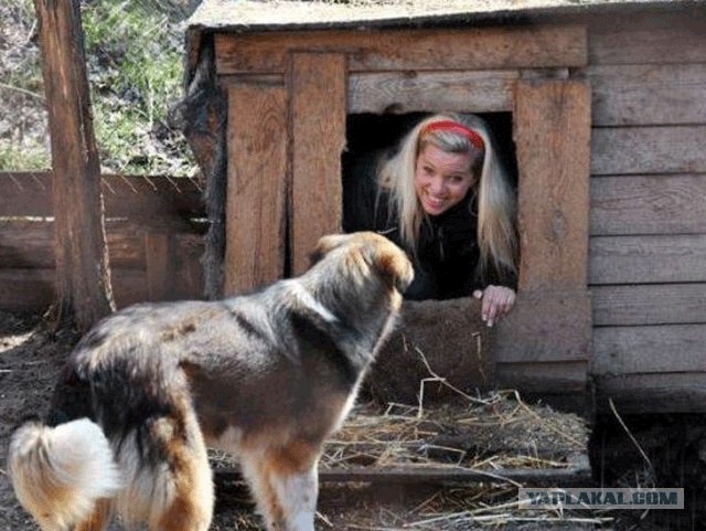 Фотожаба: Собака с Девушкой