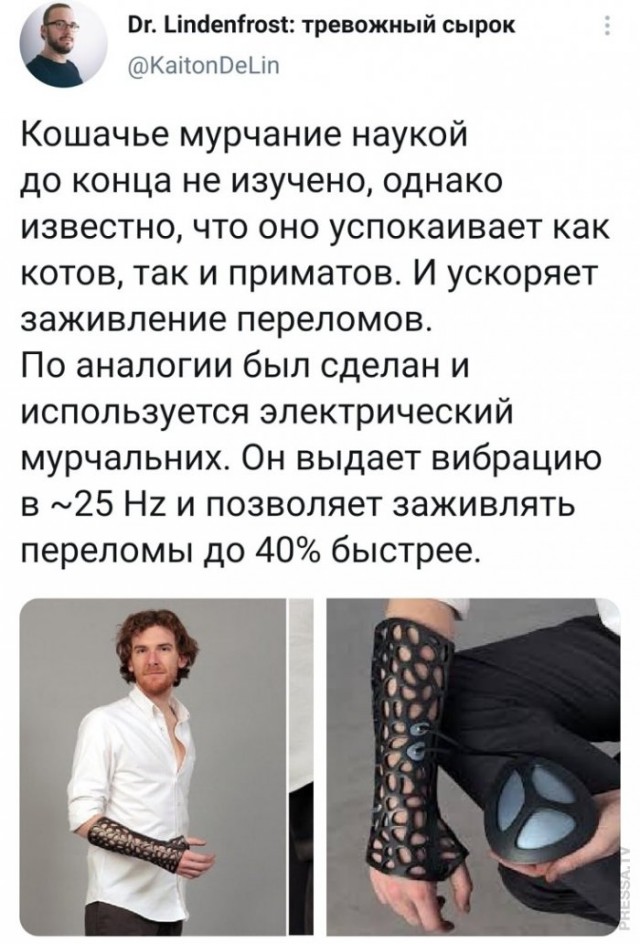 Котовторнику быть!