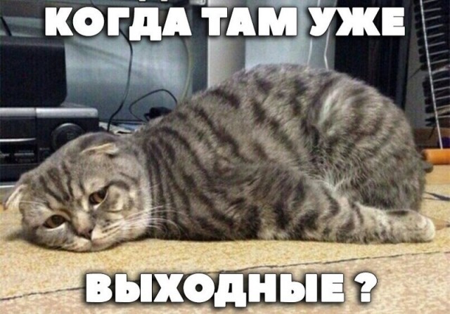 Баянисто-небаянистый юмор 3.03.21