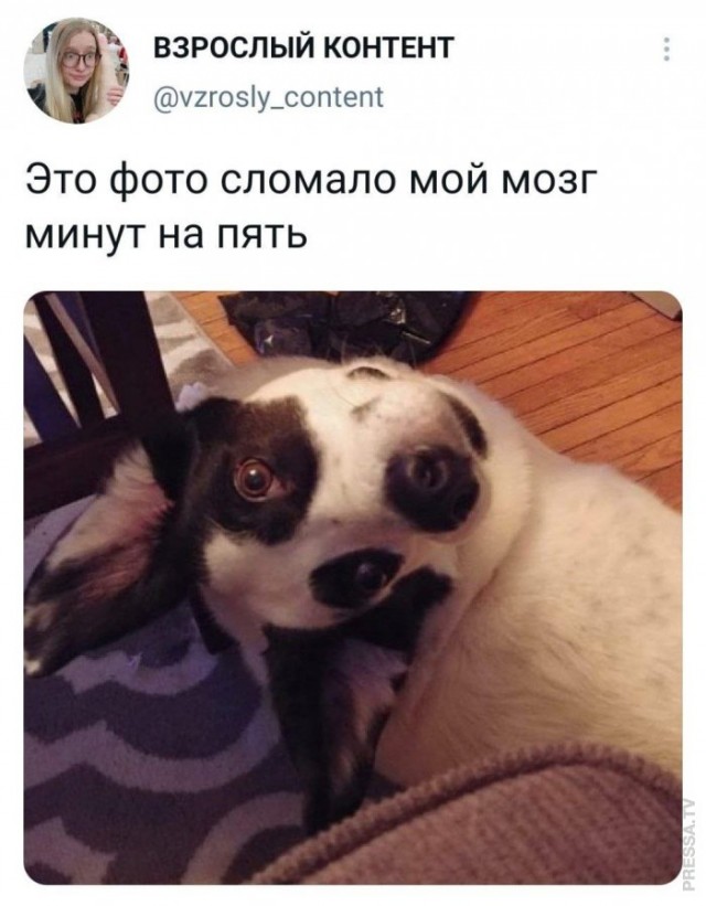 Картинки и мемы для настроения 30.03.2021