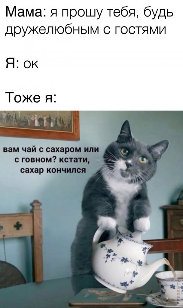 Так себе картинки 23.04.21