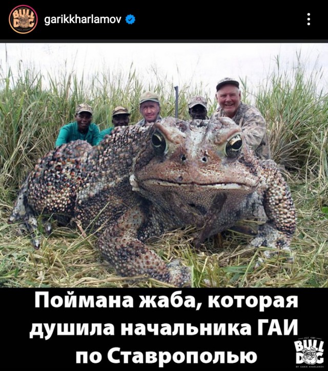 Задержанный за взятки глава Ставропольского ГИБДД отрекся от дворца с позолоченными унитазами