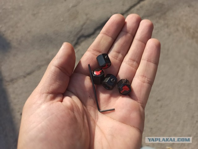 Скручивают коппачки. Как бороться?