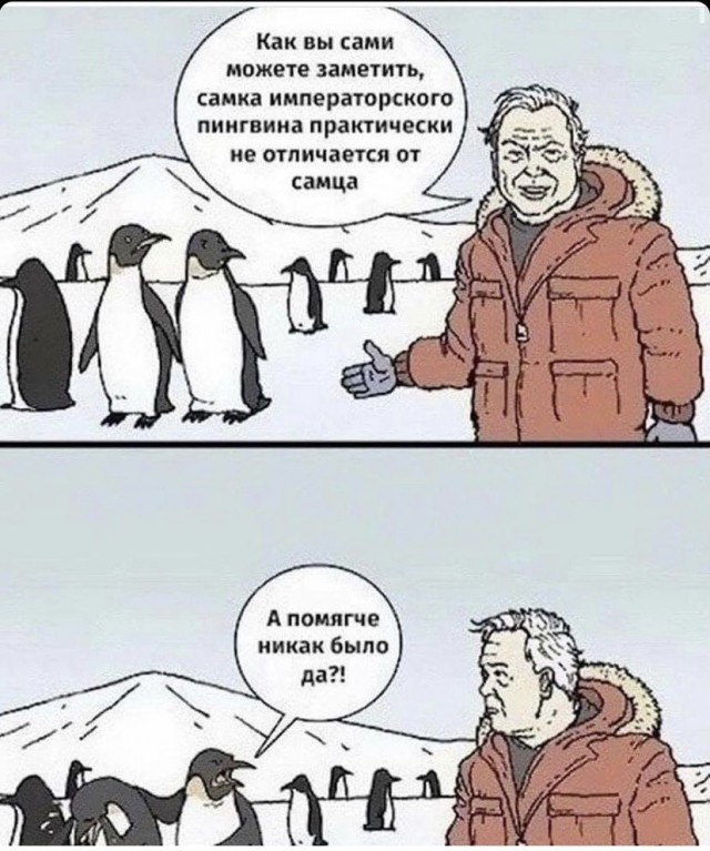 Картинки и мемы для настроения 12.10.2021