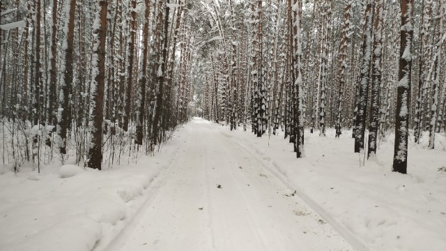 Первое января глазами непьющего человека