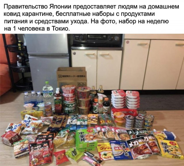 Картинки обо всём 04.02.22