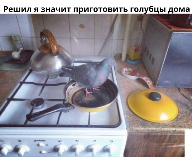 Так себе картинки 19.03.22