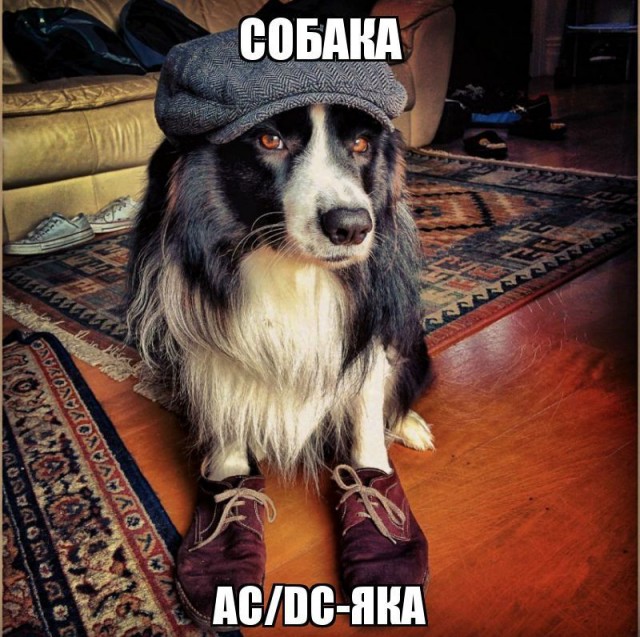 Картинки и мемы, всем хороших выходных