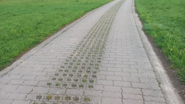 Полевая дорога. Северная Бавария