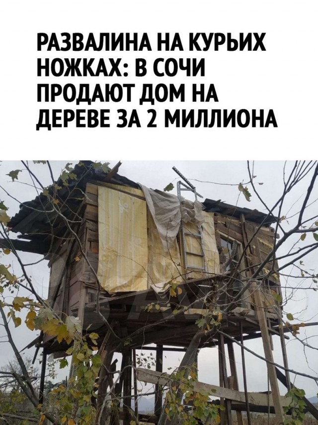 Так себе картинки 03.05.22