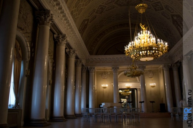 СПб глазами уставшего туриста...