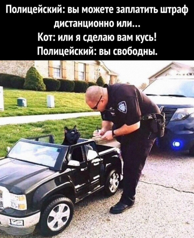 Картинки и мемы для настроения - 11